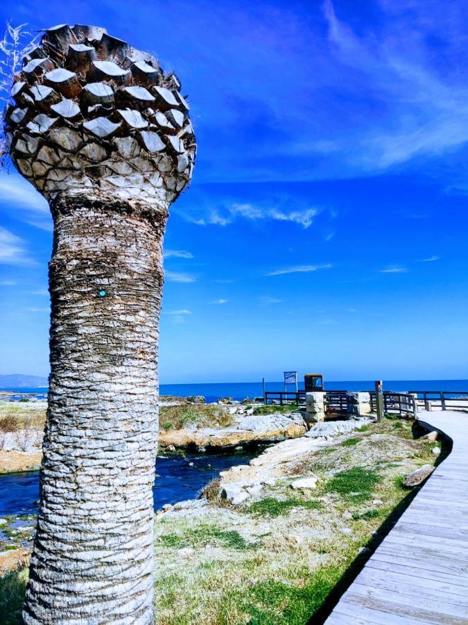 Apartamento Acogedor En Cabanes, Torre La Sal, Costamar I Marina D'Or Venta de San Antonio-Estacion Exterior foto
